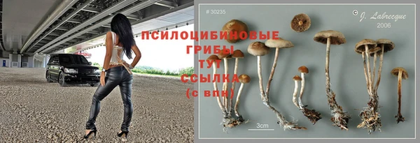 ECSTASY Баксан