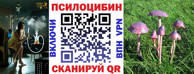 наркошоп  Короча  гидра ТОР  Псилоцибиновые грибы Magic Shrooms 
